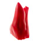 Sergal Schnauze (Wunschmodell)