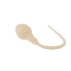 Spermium (Wunschmodell)