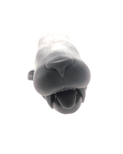 Lilly Sabertooth (Wunschmodell)