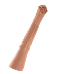 Peter (Wunschmodell)