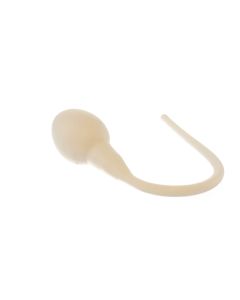 Spermium (Wunschmodell)